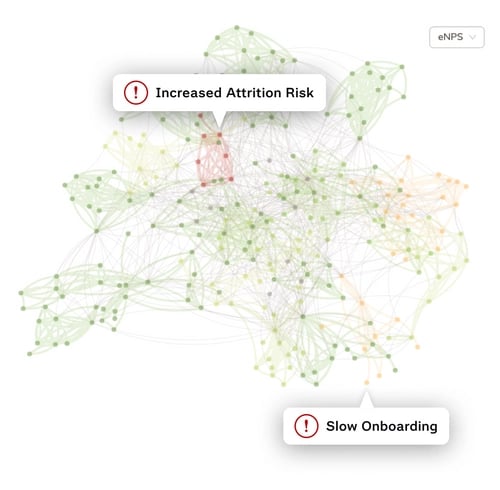network-insights network-insights