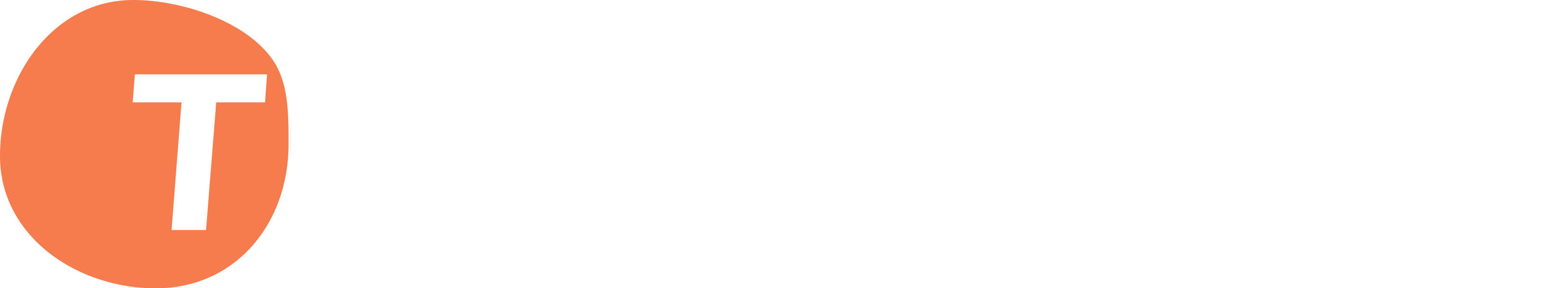 Teamspective Logo